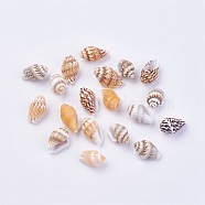 Shell Beads, 11~14x6~8mm, Hole: 1mm, about 1800pcs/500g(BSHE-P026-35)