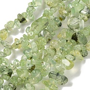 Natural Prehnite Beads Strands, Chip, 5~8mm, Hole: 1mm, about 33 inch(84cm)(G-P332-41A)