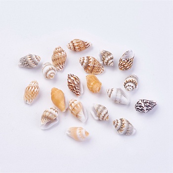 Shell Beads, 11~14x6~8mm, Hole: 1mm, about 1800pcs/500g