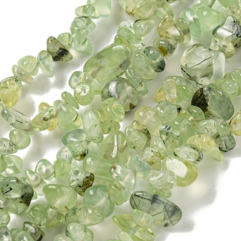 Natural Prehnite Beads Strands, Chip, 5~8mm, Hole: 1mm, about 33 inch(84cm)