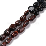 Gradient Color Natural Tiger Eye Beads Strands, Nuggets, Tumbled Stone, Mixed Dyed and Undyed, 5~14x4~10x4~8mm, Hole: 0.8~1mm, about 45~59pcs/strand, 15.75~16.34 inch(40~41.5cm)(G-L610-B17-01)