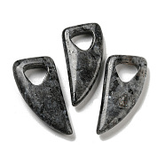 Natural Labradorite Pendants, Horn Charms, 41~43x20x7.5~8mm, Hole: 10.5~11mm(G-M417-03C)