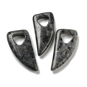 Natural Labradorite Pendants, Horn Charms, 41~43x20x7.5~8mm, Hole: 10.5~11mm