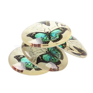 Butterfly Printed Glass Half Round/Dome Cabochons(X-GGLA-N004-25mm-C)-4