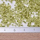 MIYUKI Delica Beads(X-SEED-J020-DB0124)-4