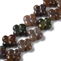 Natural Indian Agate Beads Strands, Flower, 13~14x13~14x5~5.5mm, Hole: 1.2mm, about 15pcs/strand, 7.95''(20.2cm)(G-M418-D09-01)