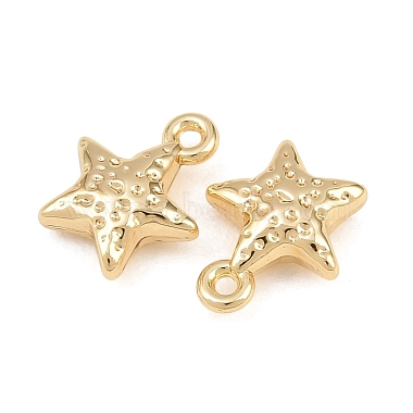 Alloy Charms(AL-CBA83D5-07G)-2