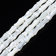Natural Trochid Shell/Trochus Shell Beads Strands, Bleach, Bamboo Stick, White, 8x4mm, Hole: 0.9mm, about 51pcs/strand, 15.75 inch(40cm)(SSHEL-N034-122-B01)