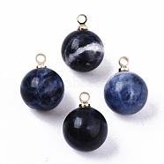 Natural Sodalite Charms, with Golden Plated Brass Loops, Round, 14x10.5mm, Hole: 1.5mm(G-N332-024G-08)