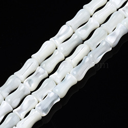 Natural Trochid Shell/Trochus Shell Beads Strands, Bleach, Bamboo Stick, White, 8x4mm, Hole: 0.9mm, about 51pcs/strand, 15.75 inch(40cm)(SSHEL-N034-122-B01)