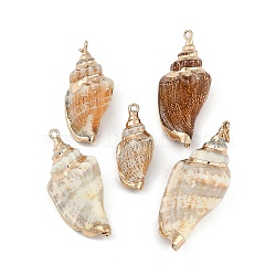 Natural Shell Pendants, Shell Shape Charms, 29~45x12.5~20x11~16mm, Hole: 3.5mm(SHEL-K009-01C)