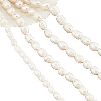 4 Strands 4 Styles Natural Cultured Freshwater Pearl Beads Strands, Rice, Seashell Color, 6.5~13x5~15mm, Hole: 0.8mm, about 16~22pcs/strand, 6.85 inch~7.68 inch(17.4cm~19.5cm), 1 strand/style