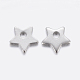 304 Stainless Steel Charms(X-STAS-F159-54P)-2