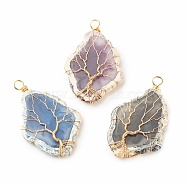3Pcs 3 Colors Resin Big Pendants Set, with Copper Wire Wrapped, Imitation Gemstone, Rhombus with Tree, Golden, 66~68x42.5~43x7.5mm, Hole: 5.5mm, 1pc/color(PALLOY-JF01431-02)