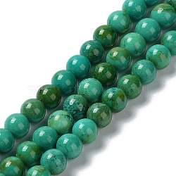 Natural Howlite Beads Strands, Dyed, Round, 6mm, Hole: 1.2mm, about 63~64pcs/strand, 14.76''(37.5cm)(G-E604-B05-A)