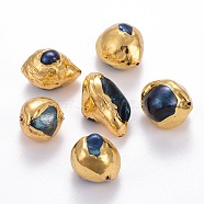Natural Baroque Pearl Cultured Freshwater Pearl Beads, Dyed, Covered with Brass, Golden Plated, 13~22x11~14mm, Hole: 0.7mm(PEAR-E014-10)
