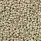 TOHO Round Seed Beads(SEED-XTR11-0558F)-2