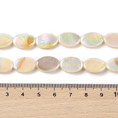 Natural Freshwater Shell Beads Strands(X-BSHE-H018-06)-4