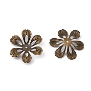 6-Petal Iron Bead Caps, Flower, Antique Bronze, 25.5x23.5x3mm, Hole: 1.5mm(IFIN-WH0070-09AB)