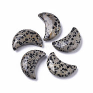 Moon Shape Natural  Dalmatian Jasper Healing Crystal Pocket Palm Stones, for Chakra Balancing, Jewelry Making, Home Decoration, 30x20.5x9.5mm(X-G-T132-001)