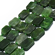 Natural Canadian Jade Beads Strands, Rectangle, 14~17x11~13x5~6mm, Hole: 1mm, about 21~23pcs/strand, 15.75~16.14 inch(40~41cm)(G-F725-04)