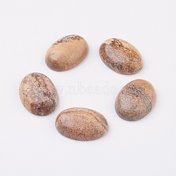 Natural Picture Jasper Flat Back Cabochons, Oval, 30x22x7~8mm(X-G-G741-22x30mm-07)