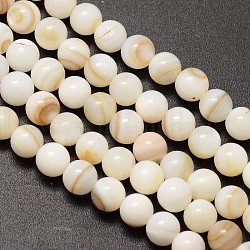 Natural Freshwater Shell Round Bead Strands, 6mm, Hole: 1mm, about 62pcs/strand, 14.5 inch(SHEL-M013-01)