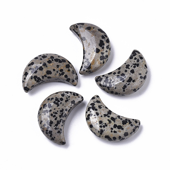 Moon Shape Natural  Dalmatian Jasper Healing Crystal Pocket Palm Stones, for Chakra Balancing, Jewelry Making, Home Decoration, 30x20.5x9.5mm
