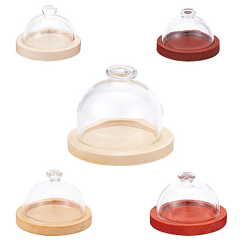 5 Sets 5 Style Top Knob Glass Dome Cover, Cloche Bell Jar Terrarium with Wood Base, Arch, Mixed Color, 30~50x21.5~39mm, Inner Diameter: 22~36mm, 1 set/style