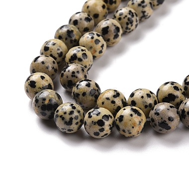 Natural Dalmatian Jasper Beads Strands(G-Q462-10mm-30)-5