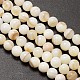 Natural Freshwater Shell Round Bead Strands(SHEL-M013-01)-1