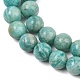 Natural Amazonite Beads Strands(G-F461-12-10mm-01)-8