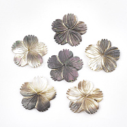 Black Lip Shell Beads, Flower, Black, 37~38x39x2mm, Hole: 2mm(SSHEL-S251-11)