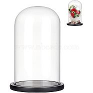 Glass Dome Cover, Decorative Display Case, Cloche Bell Jar Terrarium with Wood Base, for DIY Preserved Flower Gift, Black, 150x255mm(AJEW-WH0001-95A)