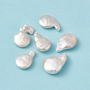 Baroque Natural Keshi Pearl Beads, Gourd, Seashell Color, 16.5~25.5x10.5~17x5~7.5mm, Hole: 0.8mm(PEAR-N020-L31)