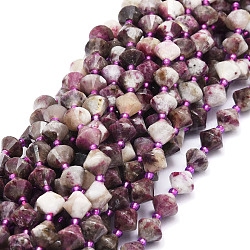 Natural Plum Blossom Tourmaline Beads Strands, Faceted, Bicone, 8x8mm, Hole: 1mm, about 40pcs/strand, 15.24''(38.7cm)(G-E569-C06)