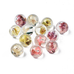 Translucent Acrylic Cabochons, with Dried Flower, Round, Mixed Color, 10x9mm(TACR-N006-13)