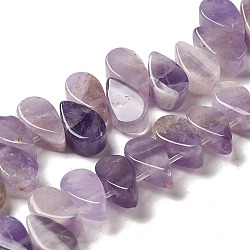 Natural Amethyst Beads Strands, Teardrop, Top Drilled, 9~10x5~5.5x3.5~4mm, Hole: 0.7mm, about 40~48pcs/strand, 7.09~7.28''(18~18.5cm).(G-B064-B01)