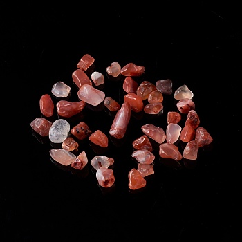 Natural Carnelian Chip Beads, No Hole/Undrilled, Dyed & Heated, 2~8x2~4mm