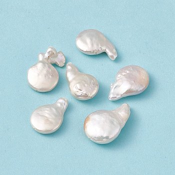 Baroque Natural Keshi Pearl Beads, Gourd, Seashell Color, 16.5~25.5x10.5~17x5~7.5mm, Hole: 0.8mm