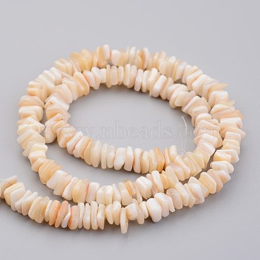 Hebras de perlas shell naturales(X-BSHE-P021-03)-2