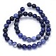 Round Natural Sodalite Beads Strands(X-G-F222-39-10mm)-3