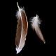 Chicken Feather Costume Accessories(FIND-Q046-04)-2