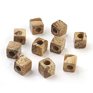 Natural Picture Jasper European Beads, Large Hole Beads, Cube, 10x10x10mm, Hole: 4.5~5mm(G-F580-B05)