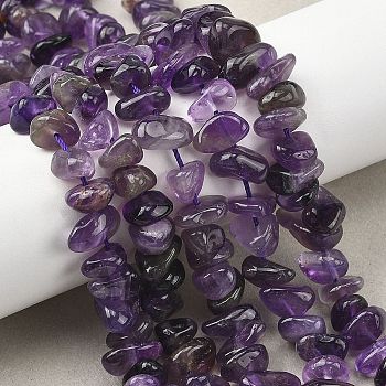 Natural Amethyst Beads Strands, Chip, 6~14x3~8x3~8mm, Hole: 1mm, 15.35~15.74inch(39~40cm)