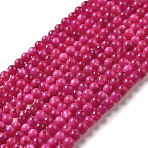 Natural Freshwater Shell Beads Strands, Round, Dyed, Camellia, 4mm, Hole: 0.5mm, about 124~132pcs/strand, 14.96''(38cm)(X-SHEL-H003-03F)
