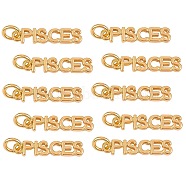 10Pcs Brass Pendants, with Jump Rings, Long-Lasting Plated, Constellation/Zodiac Sign, Golden, Pisces, Pisces: 4x19x1.5mm, Hole: 3mm(KK-SZ0004-36E)