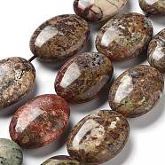 Natural Wealth Stone Beads Strands, Flat Oval, 25x18x8~9mm, Hole: 0.9~1mm, about 8pcs/strand, 7.72''~7.87''(19.6~20cm)(G-P528-D02-01)