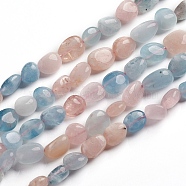 Natural Morganite Beads Strands, Nuggets, 6.5~9.5x5.5~7.5x3.5~5.5mm, Hole: 0.8mm, about 50pcs/Strand, 15.67 inch(39.8cm)(X-G-D0002-B27)