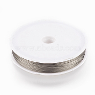 70M/Roll Tiger Tail, Original Color(Raw) Wire,Nylon-coated Stainless Steel, Raw, 0.45mm, about 229.65 Feet(70m)/roll(TWIR-70R0.45MM-1)